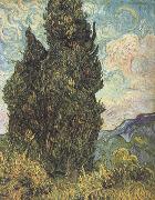 Vincent Van Gogh Cypresses (nn04) china oil painting artist